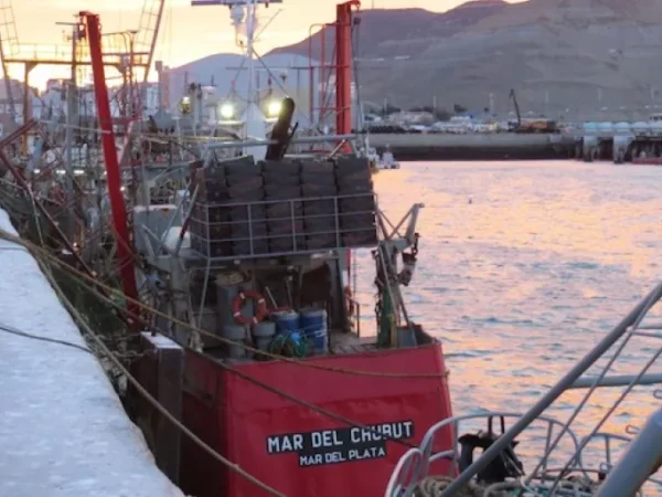 Ante un gobierno de sordos, la cadena fresquera le reza a la naturaleza y al sentido común del “Gallo”