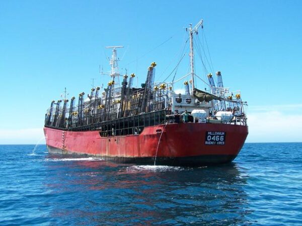Pulti cuestionó nuevos permisos para la captura de calamar y advirtió por el impacto en el empleo marplatense