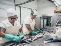 La Provincia debe recuperar la Subsecretaría de Pesca
