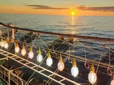 Nuevos permisos de calamar: Ganadores, marginados y un puerto excluido