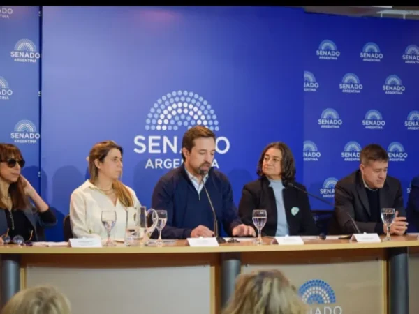 Alerta de las provincias por el aumento de la demanda en salud mental