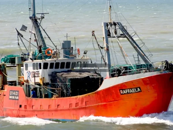 Langostino: El descontrol en Pesca genera opacidad sobre el futuro de la cuotificación