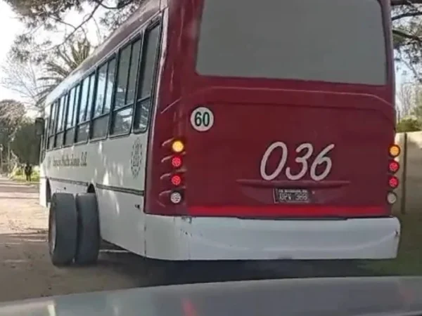 Ayala pidió una nueva VTV para todos los colectivos,  tras un nuevo incidente con una unidad