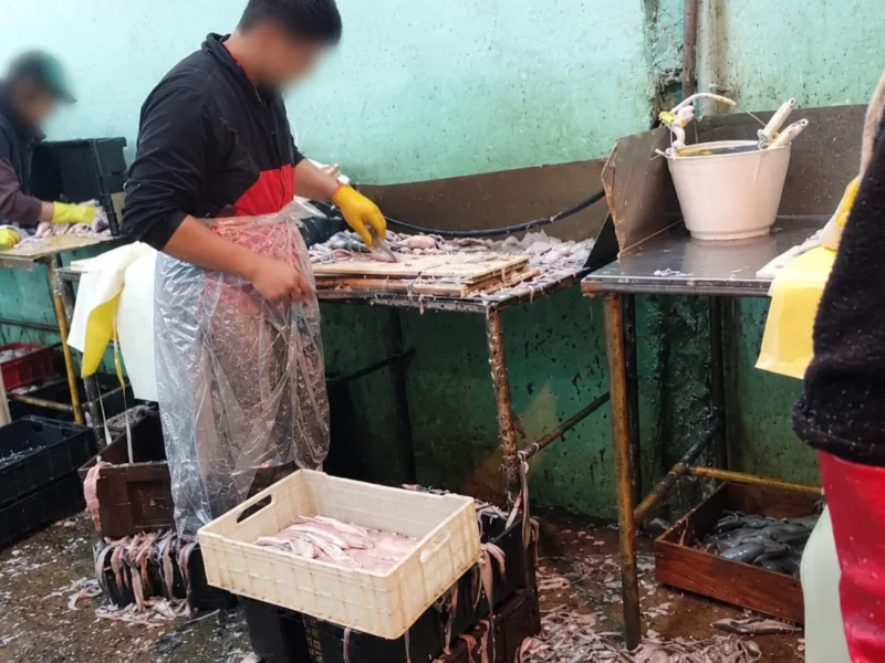 La estadística esquizofrénica en Mar del Plata, la derrota de Ledesma y reglas de control de captura para el langostino
