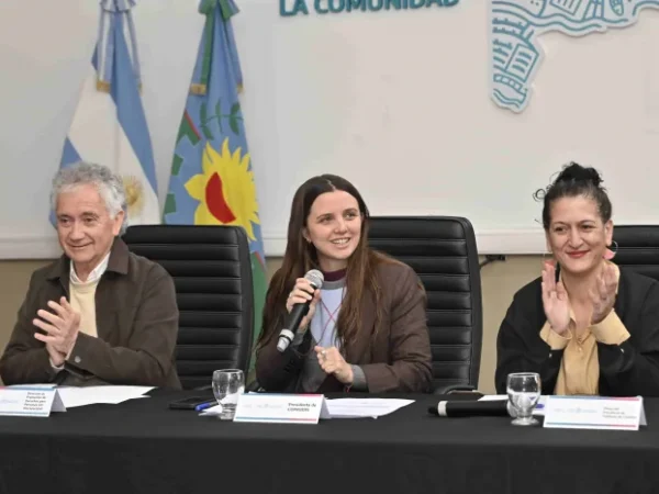 El COPRODIS reclama por la emergencia nacional en discapacidad